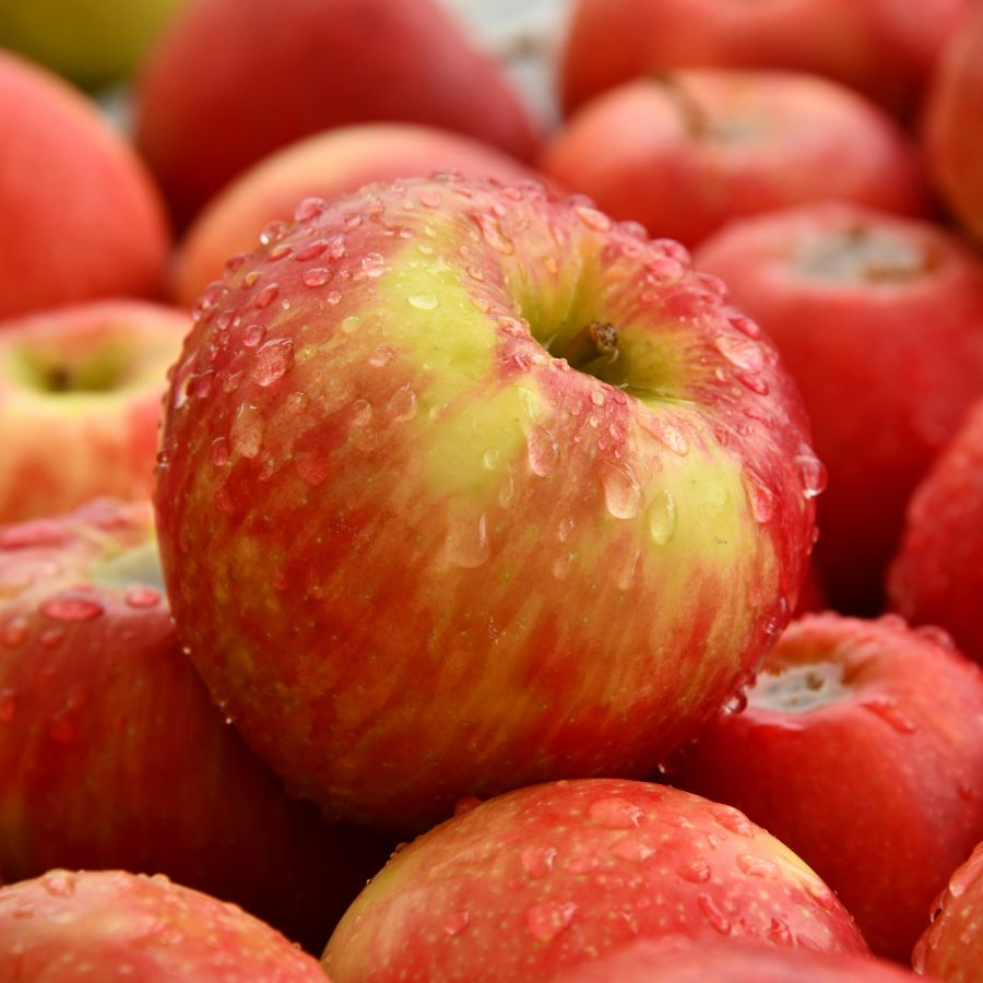 Apple